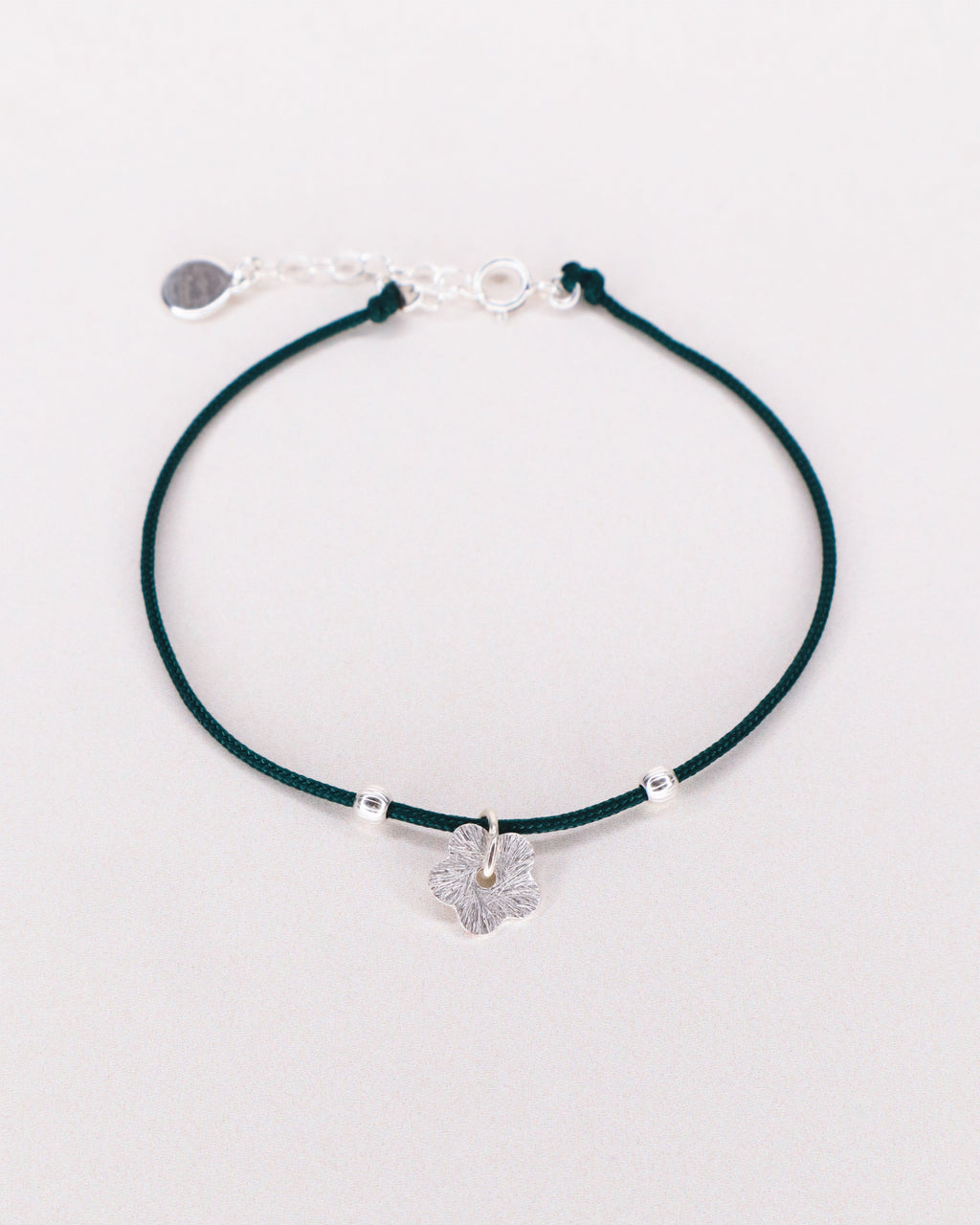 Aster vert - fleur-2