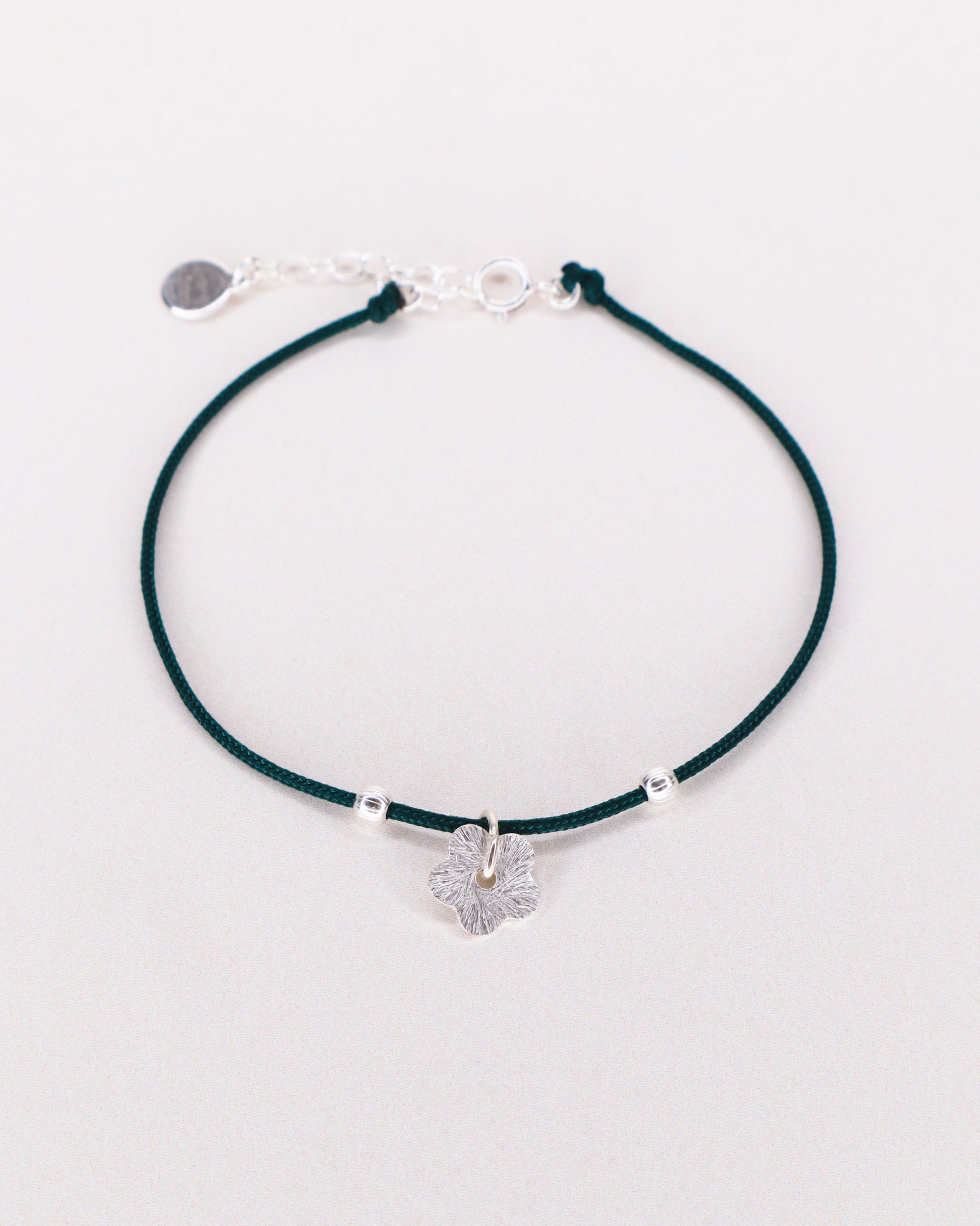 Aster vert - fleur-2